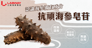 海參皂苷是甚麼?對抗頑疾之重要活性成分