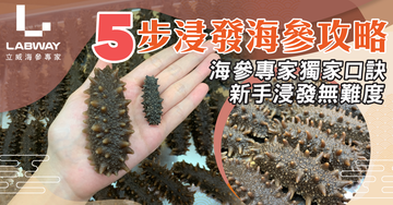 【海參專家教室】5步浸發海參😋 拆解10個有9個都誤會的海參浸發迷思!