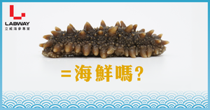 海參是一種海鮮嗎?