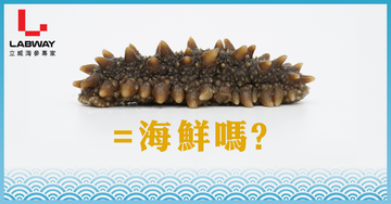 海參是一種海鮮嗎？