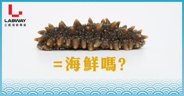 海參是一種海鮮嗎?