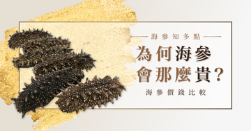 為何海參會那麼貴?海參價錢比較
