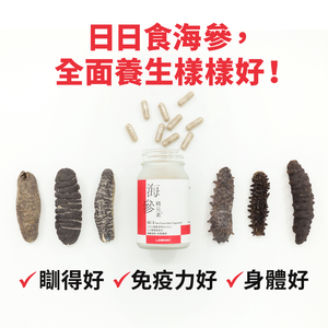 SC-3 海參精元素® (60粒) | 100%全天然海參丸