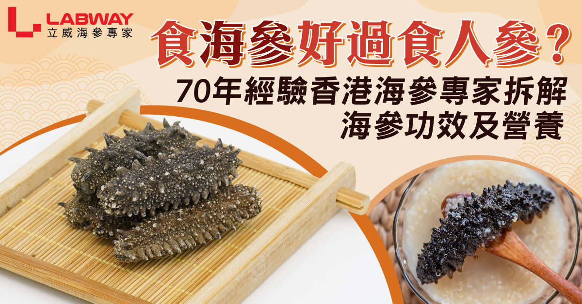 海參｜食海參好過人參？70年經驗香港海參專家拆解海參功效及營養 – Labway立威海參專家